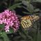 image02