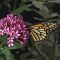 image06